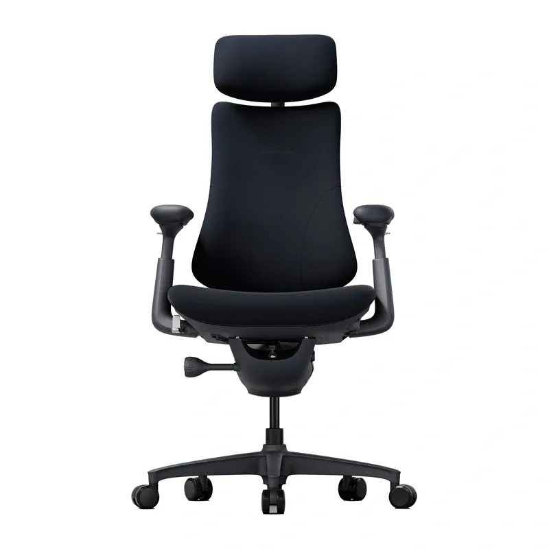 LiberNovo Omni 48 cm Ergonomic Chair (Black)
